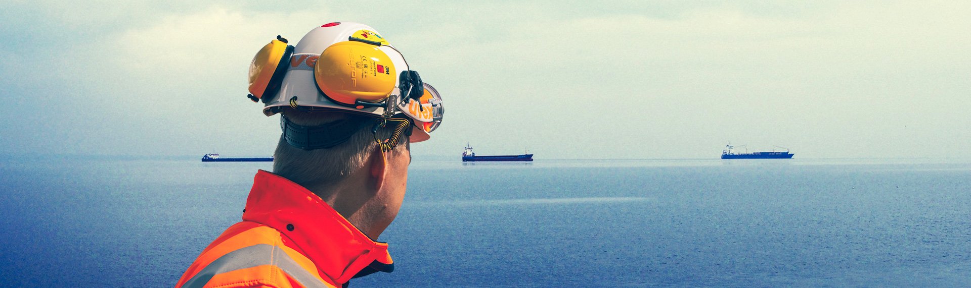 dennis van der waal maritiem consultant